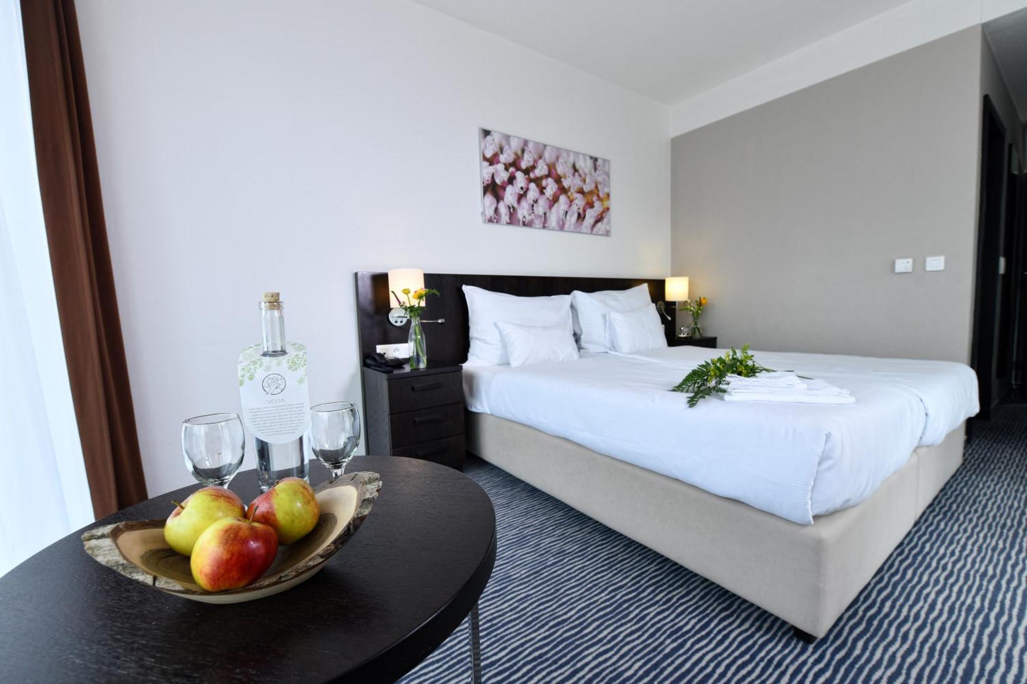 Wellness Hotel Vista Dolní Morava Extérieur photo
