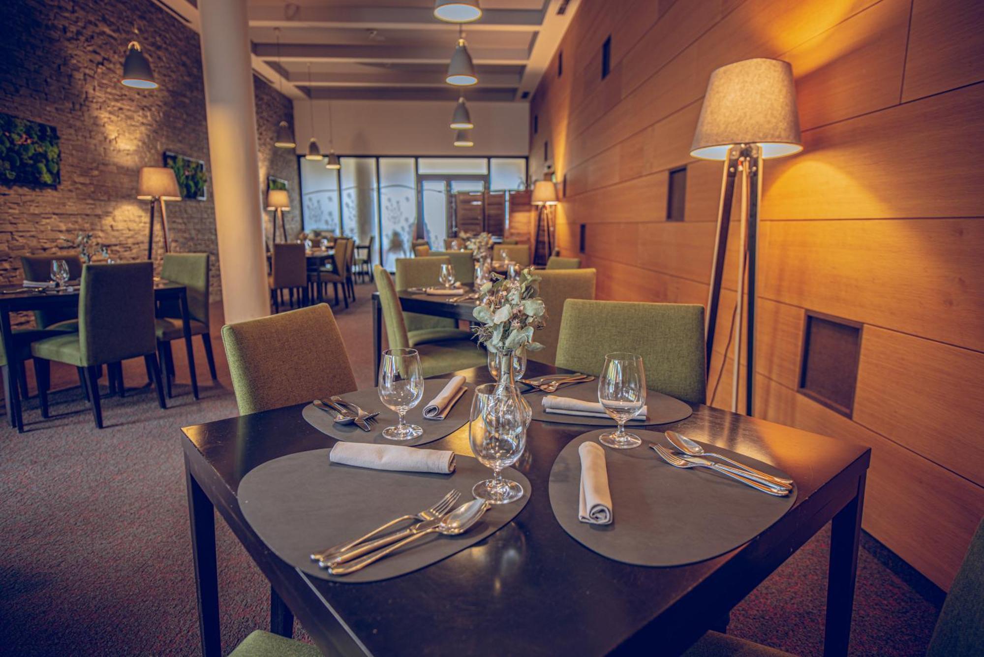 Wellness Hotel Vista Dolní Morava Extérieur photo